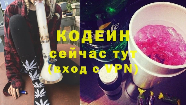 индика Баксан