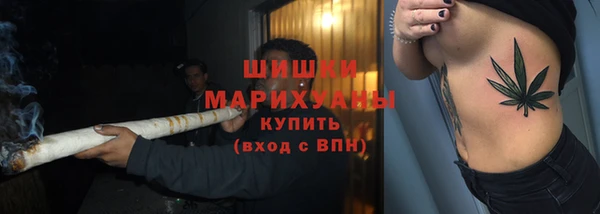 индика Баксан