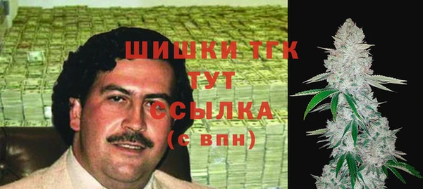 индика Баксан