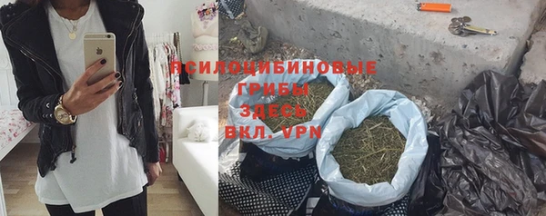 индика Баксан