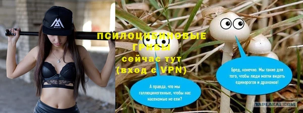 ПСИЛОЦИБИНОВЫЕ ГРИБЫ Балахна