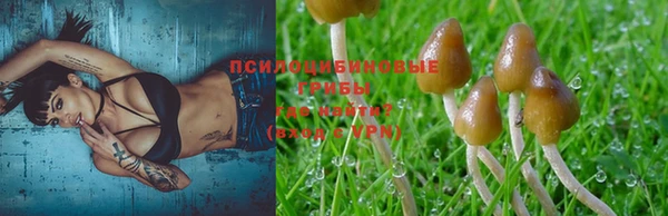 a pvp Балабаново