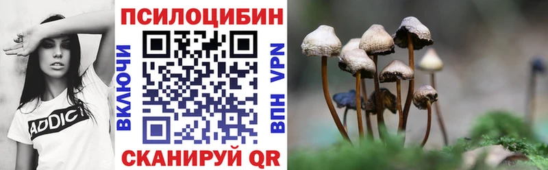 магазин    Северобайкальск  Псилоцибиновые грибы Magic Shrooms 